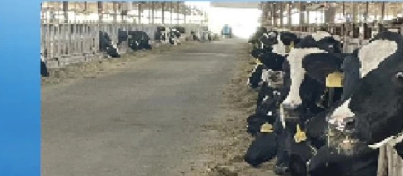 Agricultural operating environment illustrated in the portfolio